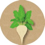 Kern Seedtech – Kern Seedtech Pvt. Ltd.