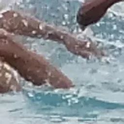 Aqua Water Park & Food Court - Cafe - Patna - Bihar | Yappe.in