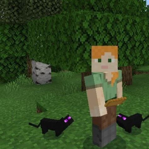Image result for Cat Minecraft Mods