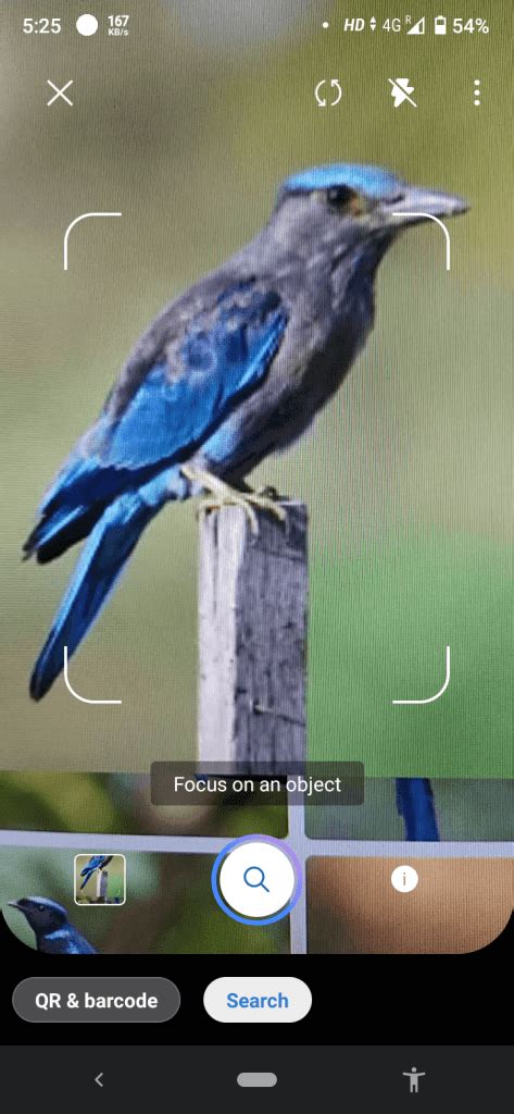 Bing Visual Search Gallery 的图像结果
