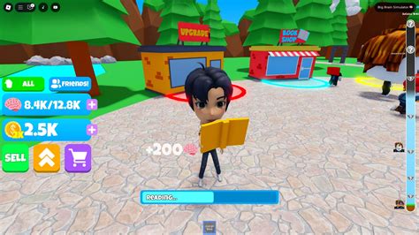 Brain Simulator Codes 的图像结果