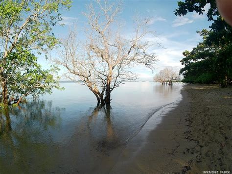 EDNA'S BEACH AND CAMPSITE (Calatagan, Batangas) - Lodge Reviews ...