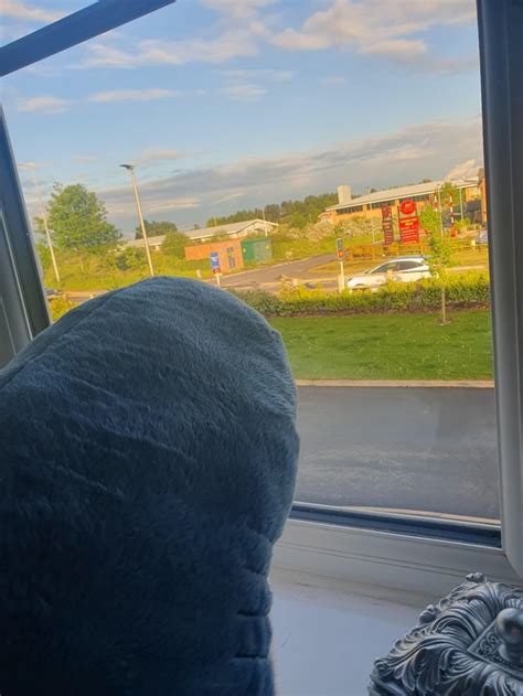 Image result for Blahaj Washing Machine