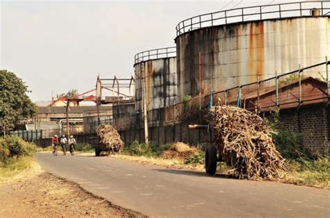 Cooperative sugar mills to get priority in ethanol supply, setback for ...