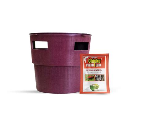 Chipku-Bucket Trap for Rb Rhinoceros Beetle (Oryctes Rhinoceros), for ...