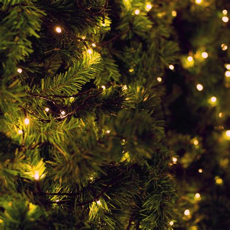 What is PGPR, and why is it added to chocolate? - Cocoa Runners