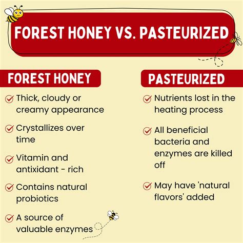 Best Forest Honey (Raw, Unfiltered, Unprocessed & Non-Pasteurised ...