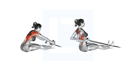 Image result for Inverted Row Back Exercise