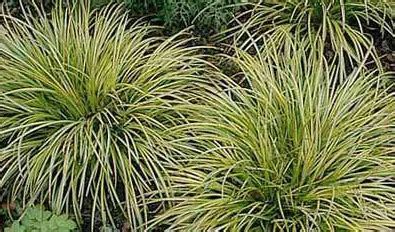 ORGANIC FARMING :: Home