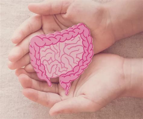 Image result for How Does Pooping Work