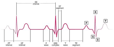 Biometric Data as Real-Time Measure of Physiological Reactions to ...