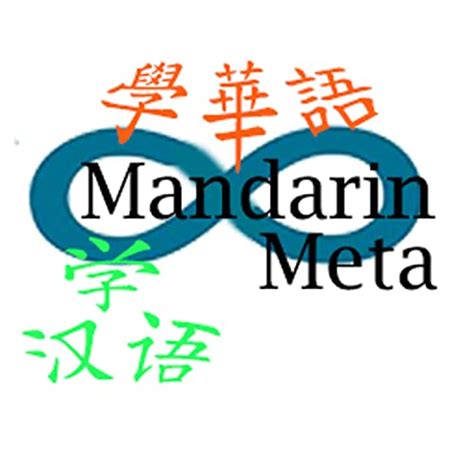 Mandarin Meta 華(汉)語元宇宙 : Cesar Hsu: Amazon.in: Books