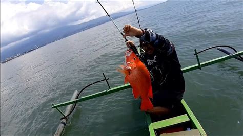 Kuvatulokset haulle cari tuna