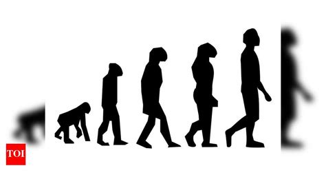 Study reveals majority of Indians accept evolution | India News - The ...
