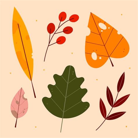Coleção de folhas de outono | Vetor Grátis