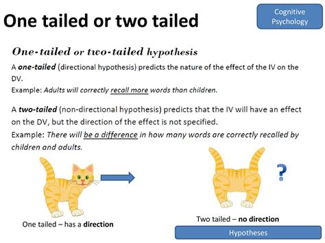 Image result for Two-Tailed Test Examples