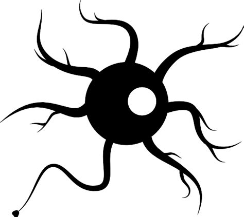 Stem Cell Research & Therapy | Stem Cell Banking | Biocell