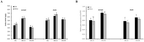 The Interaction between Strigolactone and Auxin Results in the Negative ...