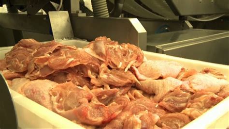 巴西稱中國將恢復進口巴西凍肉 | Now 新聞