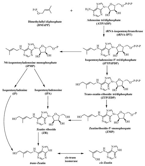 Phytohormones and Pheromones in the Phycology Literature: Benchmarking ...
