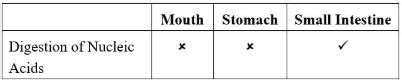 Which of the following options about sites of digestion is CORRECT?