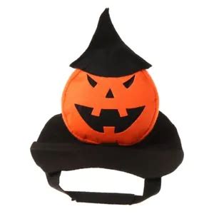 Halloween Pet Pumpkin Cloak: Adorable Transfiguration Coat for ...