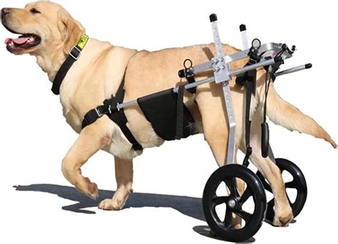 Amazon.com : PAREKS Aluminum Large Dog Wheelchair,Adjustable Dog ...