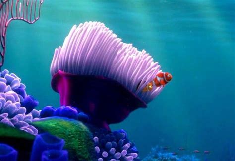 Image result for Finding Nemo Home