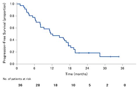 Final Results from a Phase II Trial of Osimertinib for Elderly Patients ...