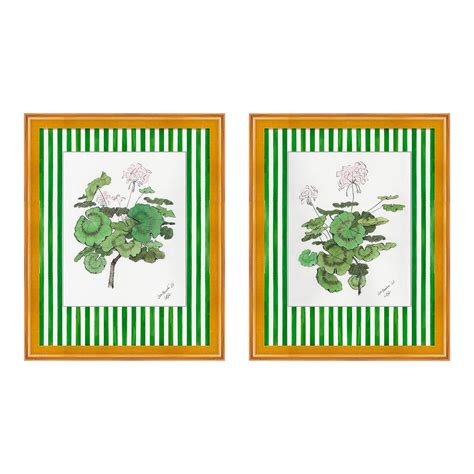 Geranium with Green Stripe, Diptych by Lia Burke Libaire in Gold Frame ...