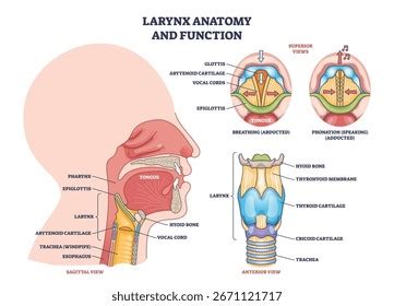 Image result for Extract Text Image Example