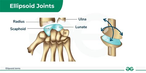 Three Types of Structural Classifications of Joints 的图像结果
