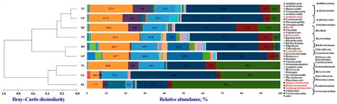 Antibiotic Resistance as a Functional Characteristic of Urban Dust ...