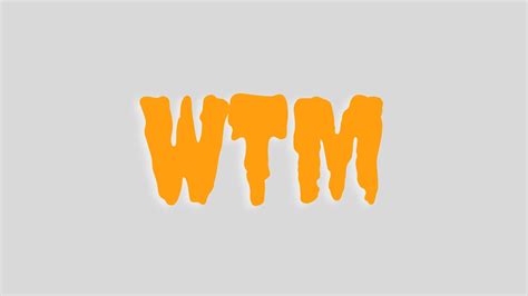 What does WTM mean on Snapchat? - TechBriefly