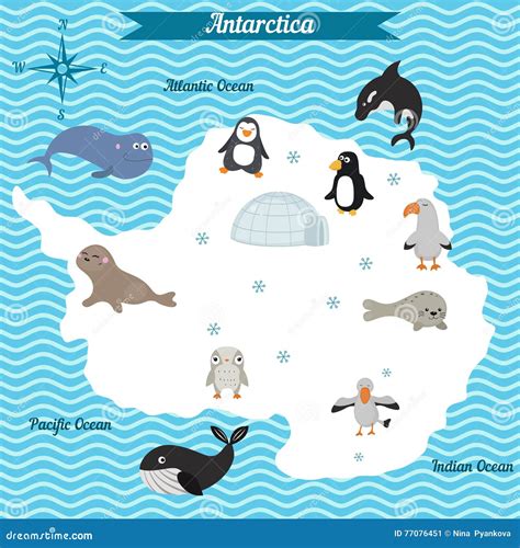 Antarctica Animal Map World Map With Animals Stock Illustration