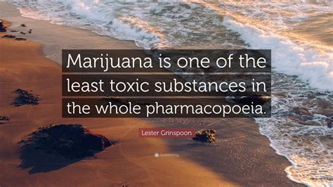 Lester Grinspoon Quote: “Marijuana is one of the least toxic substances ...