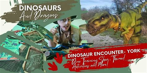 Dinosaur Encounter York- Meet+ Train a Dino and Themed Activities ...