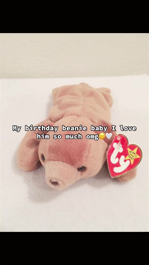 My Beloved November Beanie Baby Celebration | TikTok