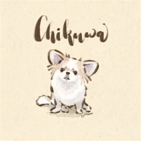 ゆるイラスト | noco create