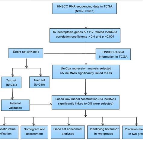 Image result for Computer Data Analysis
