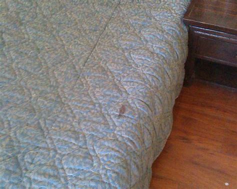 MOUNT N MIST (Nainital) - Hotel Reviews, Photos, Rate Comparison ...