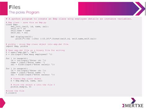 Image result for Python Programming File