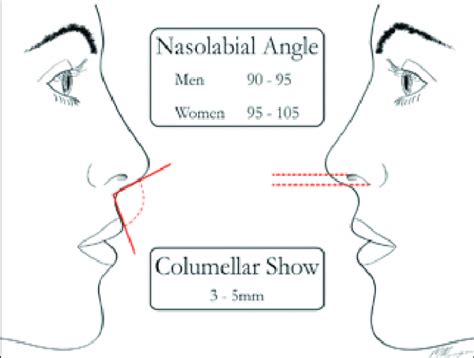 Dr. Ragni Tandon | Orthodontics and Dentofacial Orthopaedics Professor ...