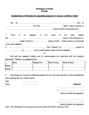 Affidavit For Passport Of Minor Child - Fill and Sign Printable ...