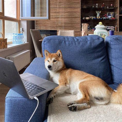 DataArt PNG 的图像结果