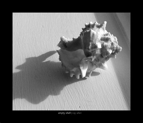 empty shell by Raymate on DeviantArt