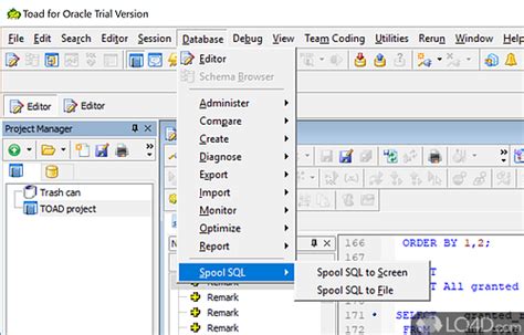 Using Toad for Oracle 的图像结果