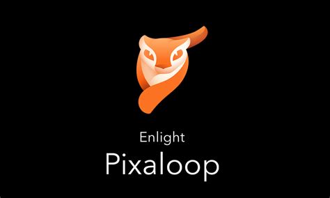 Pixaloop Tutorial 的图像结果