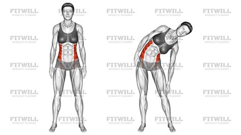 Standing Side Bend: Exercise Guide, Video, Techniques, Benefits, How to ...