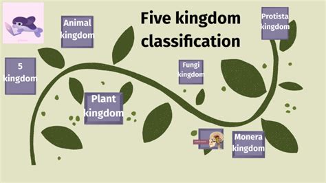 Image result for Five Kingdoms of Life Examples